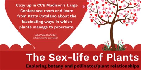Cornell Cooperative Extension The Sex Life Of Plants