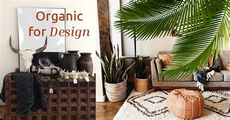 How To Embrace Organic Interior Design