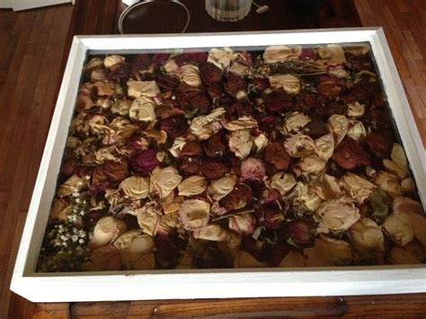 What's the best way to preserve photographs? Shadow box with dried rose petals from my husband over the ...