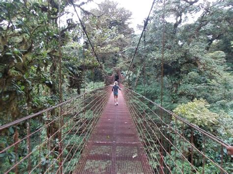 Dont Miss The Sloth Sanctuary Review Of Monteverde Cloud Forest
