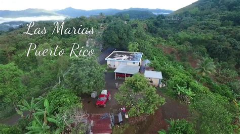 Las Marias Puerto Rico Youtube