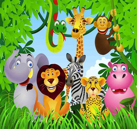 48 Jungle Theme Wallpaper For Kids Wallpapersafari