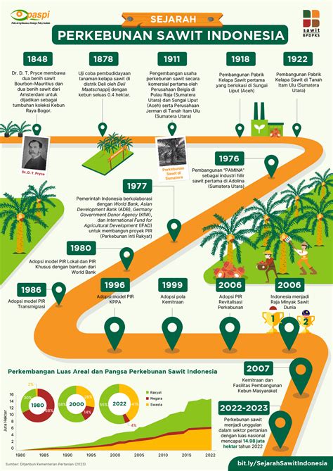 Begini Ternyata Sejarah Perkebunan Sawit Indonesia 2023