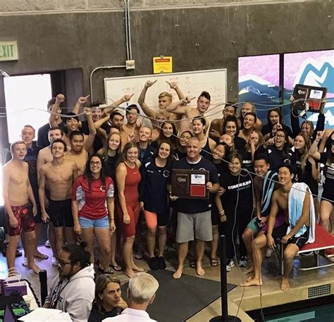 Cougars Swim An Undefeated League Season The Roar