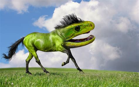 29 Hilarious And Flawless Animal Hybrids