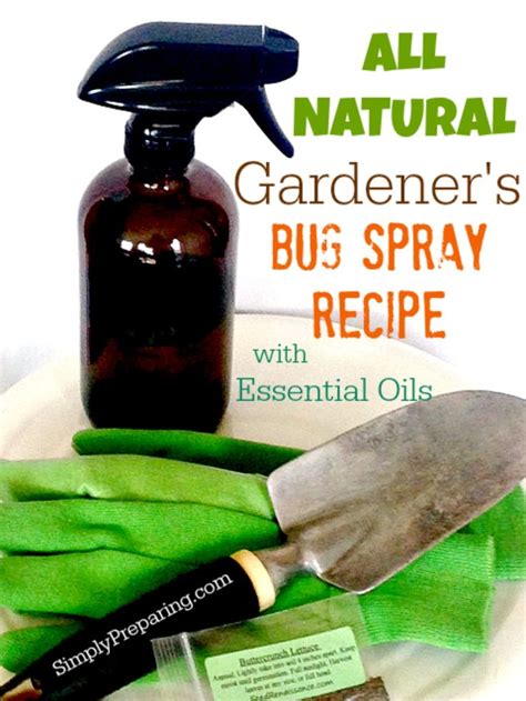 Homemade Garden Bug Spray With Essential Oils Simply Preparing