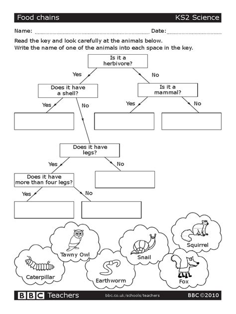 Science Worksheets Ks2 Free