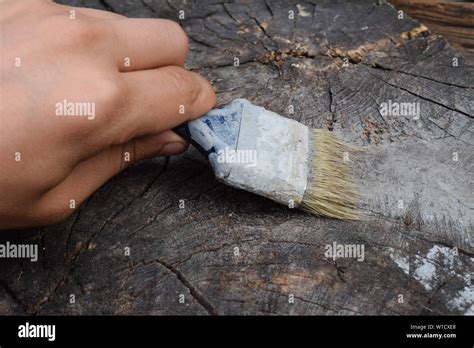 Grey Paint Brush Hi Res Stock Photography And Images Alamy