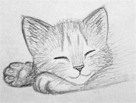 Plus i thought i needed a bit of practice drawing cat faces. Kitten sketch 3 by Kridah on DeviantArt
