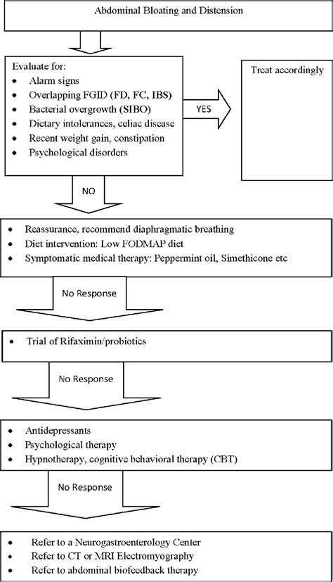 Algorithm For The Approach And Management Of Abdominal Bloating And