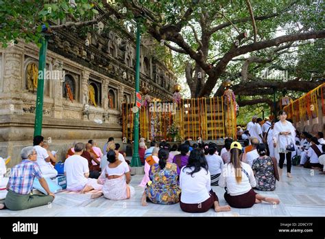 Bodhi Tree Bodh Gaya Bihar Hi Res Stock Photography And Images Alamy