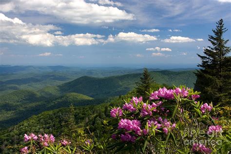 View From The Blue Ridge Parkway Spring 2010 Photograph By
