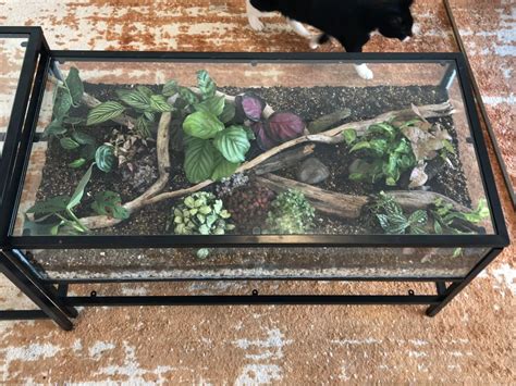 Cheap coffee tables, buy quality furniture directly from china suppliers:electric multifunction foldable coffee table living room liftable and lowerable minimalist rectangle mesas centro dining table enjoy. My DIY terrarium coffee table, fingers crossed all the ...