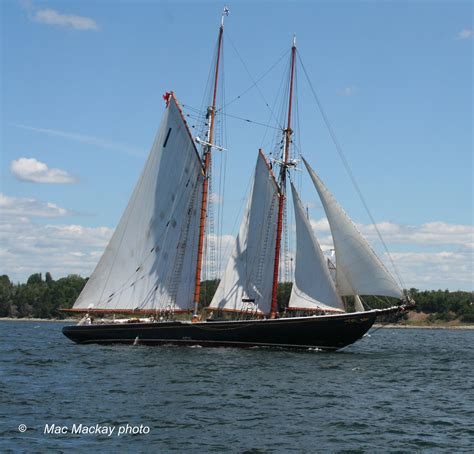 Shipfax Bluenose X Launched Today
