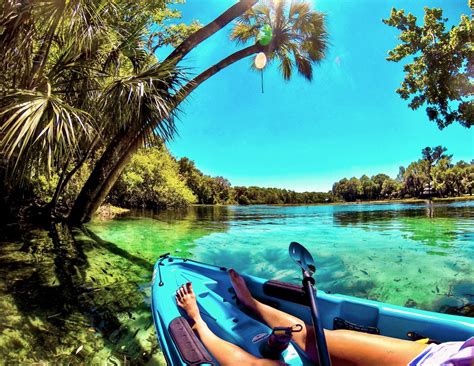 Maybe you would like to learn more about one of these? Honeymoon Island State Park | Visit St Petersburg ...