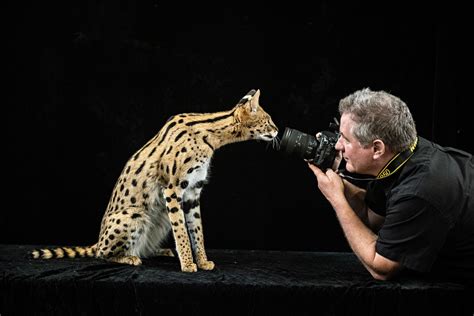 Joel Sartores Portraits Capture Animals That Might Be