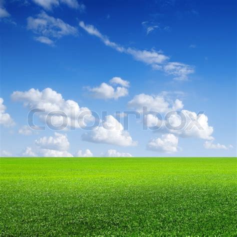 Green Field Blue Sky With White Cloud Stock Photo