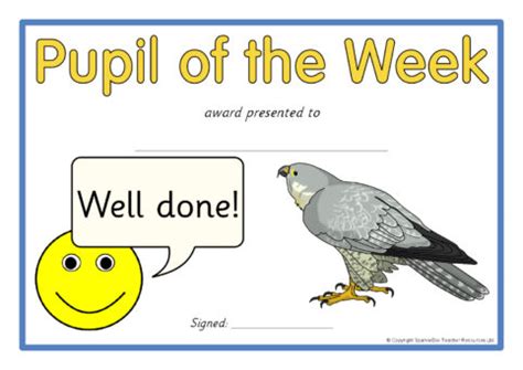 Blue falcon award certificate template #421599. Related Items