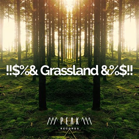Grassland And Album By Forest Sounds Spotify