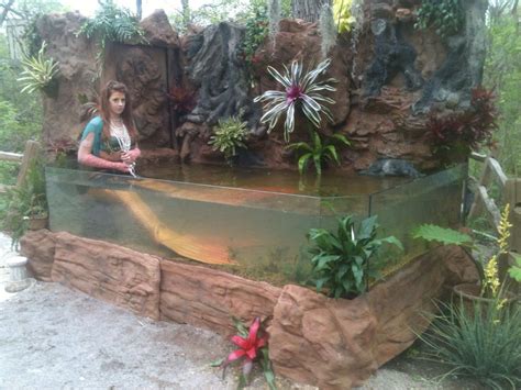 Mermaid Tank For Scarborough Renaissance Festival Waxahachie Tx