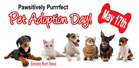 1st Annual Pawsitively Purrrfect Pet Adoption Day Smokey Barn News