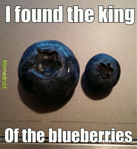 Blueberries Meme Subido Por Beckster Memedroid