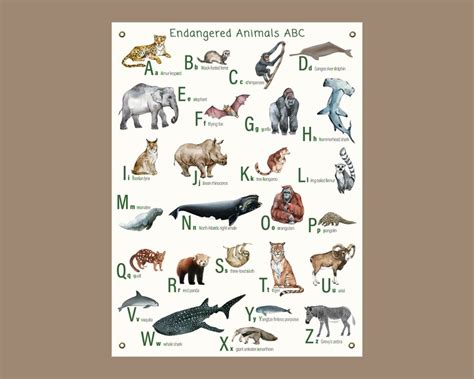 Canvas Endangered Animal Alphabet Poster With Brass Grommets Etsy Canada