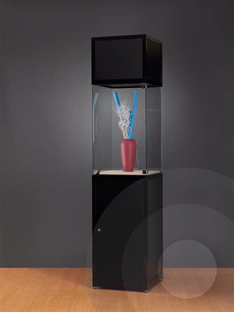 Tall Museum Display Case With Plinth And Header