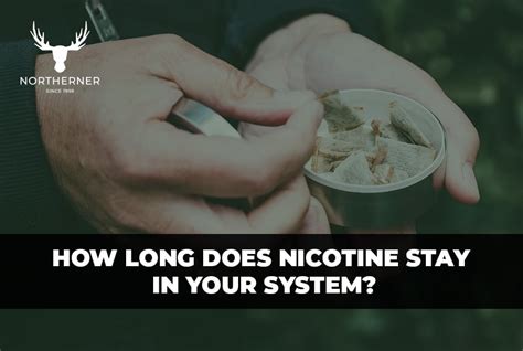 How Long Does Nicotine Stay In Your System Northerner Com