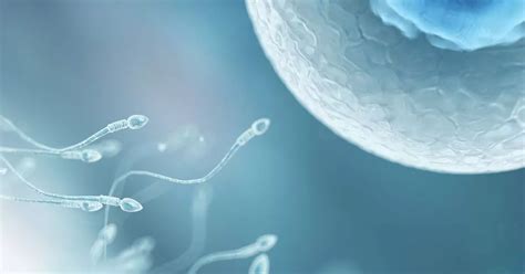 Artificial Sperm Grown From Skin Cells Could Offer Hope For Infertile