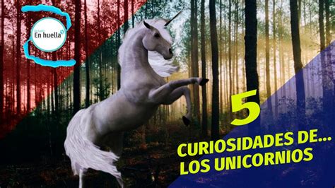 5 Curiosidades Del Unicornio Youtube