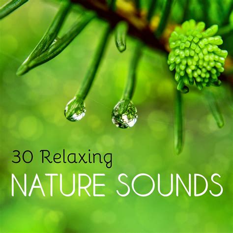 ‎30 Relaxing Nature Sounds Soothing Water And Earth Noises To Improve