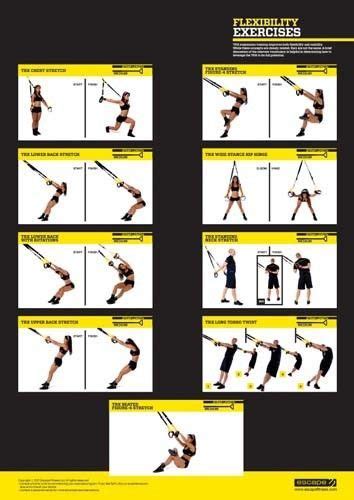 Trx Workout Pdf Trx Full Body Workout Trx Workouts Barbell Workout