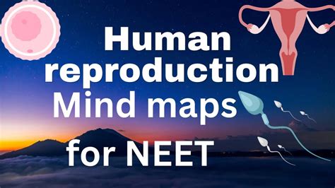 Neet2023 Human Reproduction Mindmap Revise For Neet Viral Viralvideo