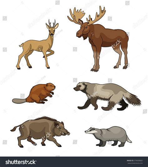 Set Stylized Vector Forest Animals Eps8 Stock Vector Royalty Free