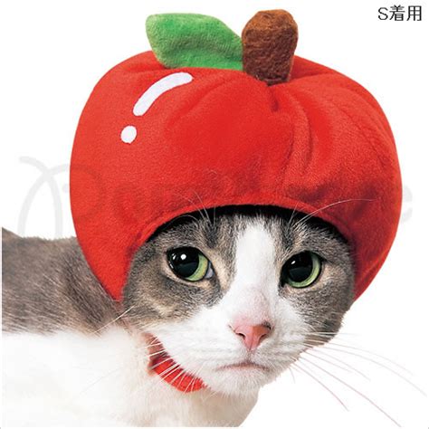 모험가가 되고싶다며 도시로 떠난 딸이 s랭크가 되었다 1~7권. リンゴの帽子 ( 猫 ) - 眠り猫の日記 - Yahoo!ブログ