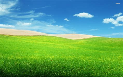 Green Hills Wallpapers 67 Background Pictures