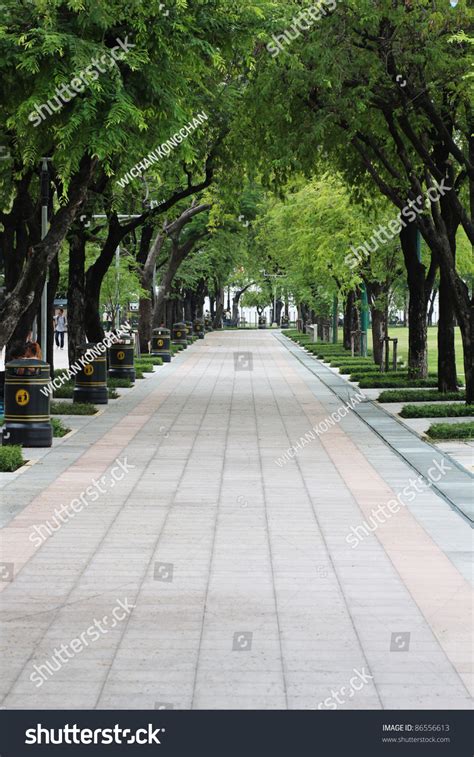 Green Alleypath Park Stock Photo 86556613 Shutterstock