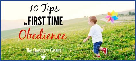10 Tips For First Time Obedience The Character Corner