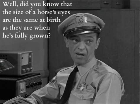 Odd Facts Known By Few Andy Griffith Quotes The Andy Griffith Show