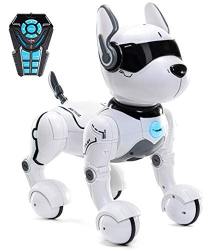 Top 10 Interactive Personal Robots Of 2021 Best Reviews Guide