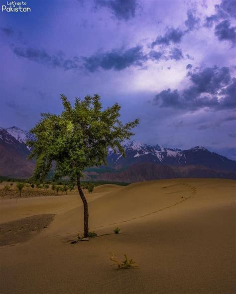 Magical Colors Of Nature 💜 Detailsthe Cold Desert Also Known As The