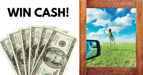 20 best recipes for jazzing up a pr. The Pioneer Woman Magazine Spring 2021 Caption Contest