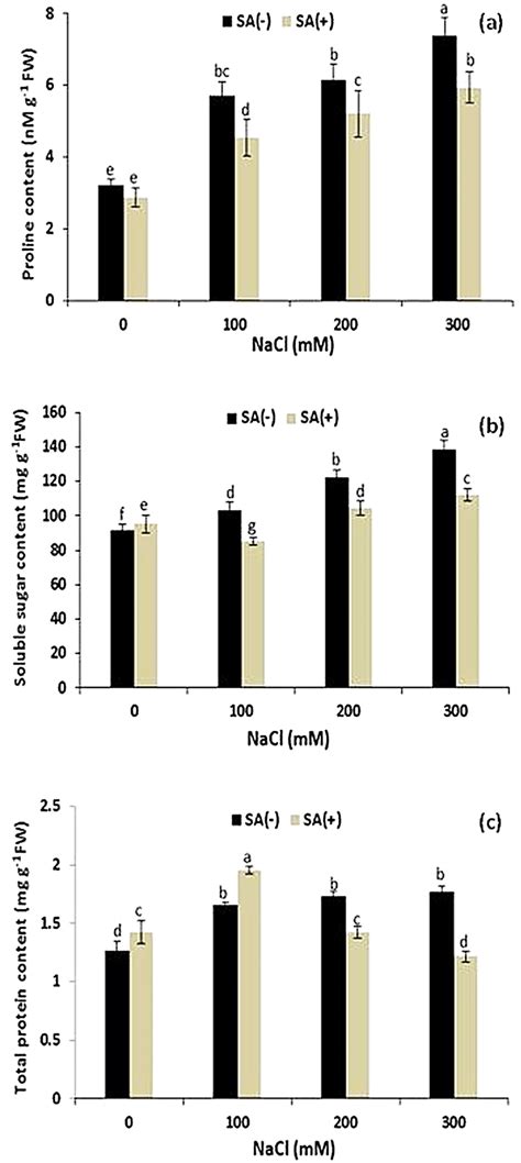 Effect Of Different Concentrations Of Salt Stress 0 100 200 And