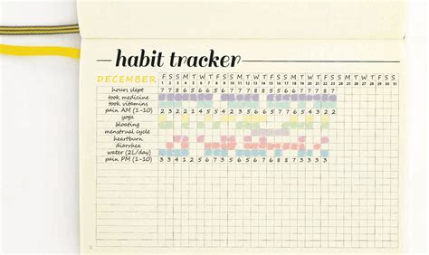 Tracking Your Digestive Health With A Bullet Style Journal