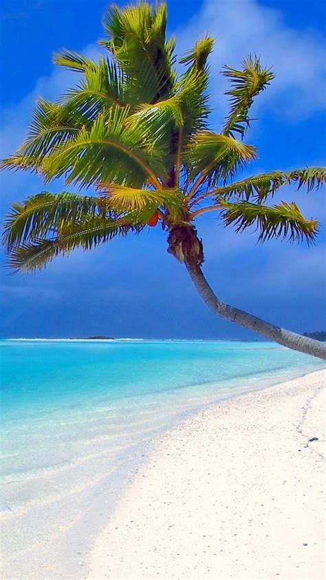 Maldives Beach Palm Trees Sand Sea Wallpaper 1080x1920