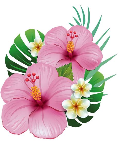 Hawaiian Flower Clipart Black And White Free Download On Clipartmag