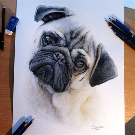 40 Color Pencil Drawings To Having You Cooing With Joy Bored Art