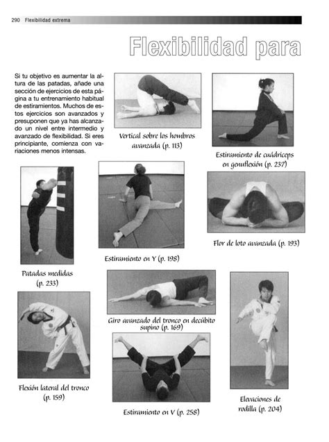 Flexibilidad Extremaguia Completa De Estiramientos Para Artes Marciales