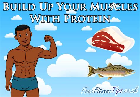 Build Up Your Muscles With Protein Protein To Build Muscle Muscle